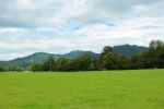 2014-07-05_Laengental-N-Hochweg (146). JPG